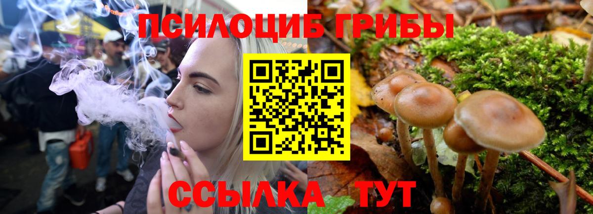 Галлюциногенные грибы Psilocybine cubensis Каменск-Уральский