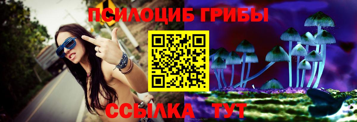 Каменск-Уральский  магазин продажи наркотиков  Вход с VPN  Псилоцибиновые грибы Psilocybine cubensis 