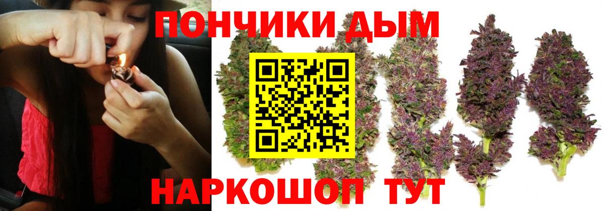 МАРИХУАНА ГИДРОПОН Каменск-Уральский